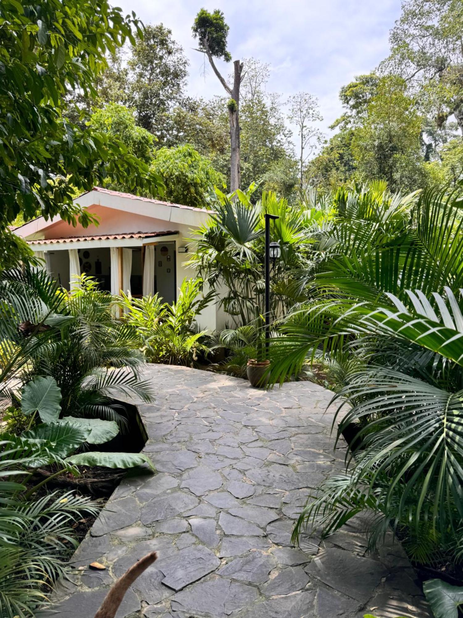 Chilamate Holiday House Puerto Viejo de Talamanca Buitenkant foto