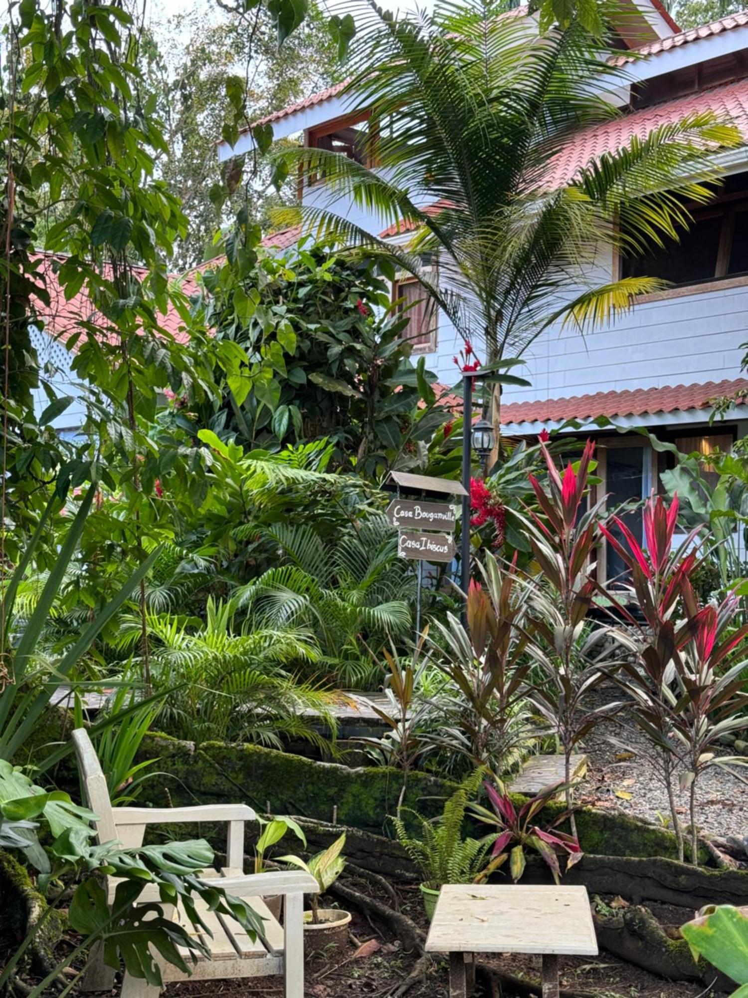 Chilamate Holiday House Puerto Viejo de Talamanca Buitenkant foto